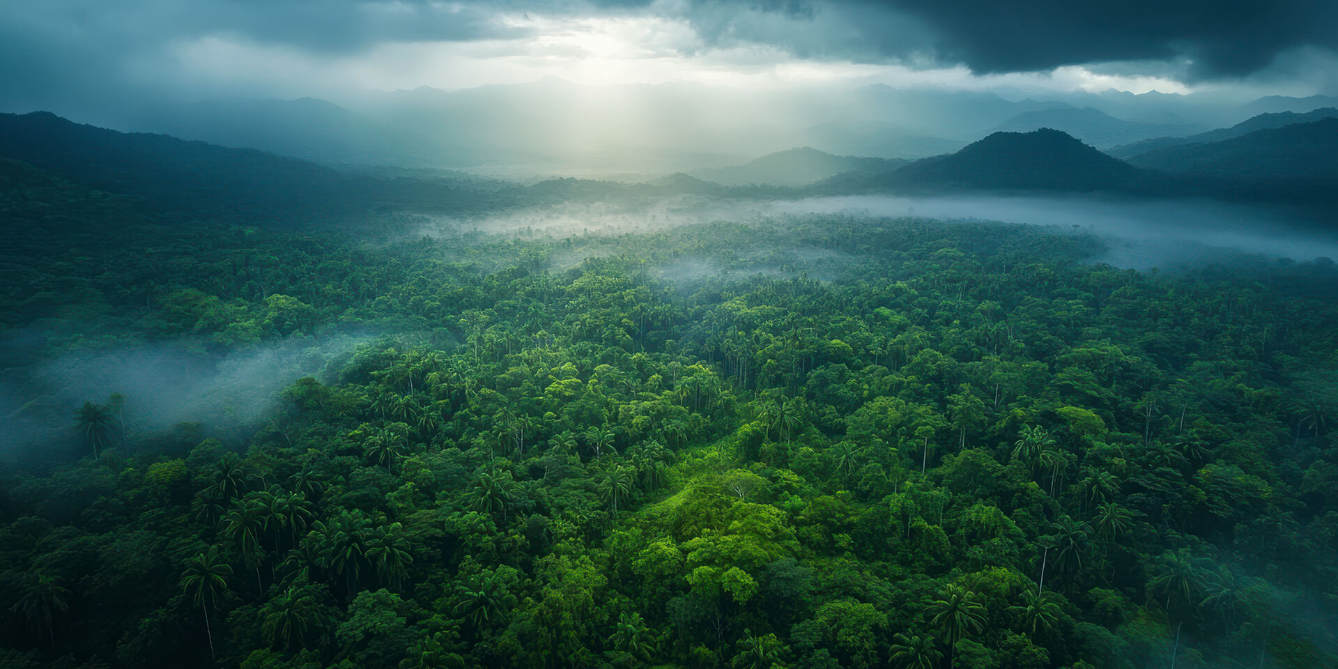 Yala National Park Entrance Fee